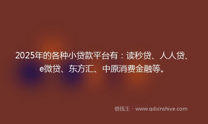 2025年的各种小贷款平台有：读秒贷、人人贷、e微贷、东方汇、中原消费金融等。
