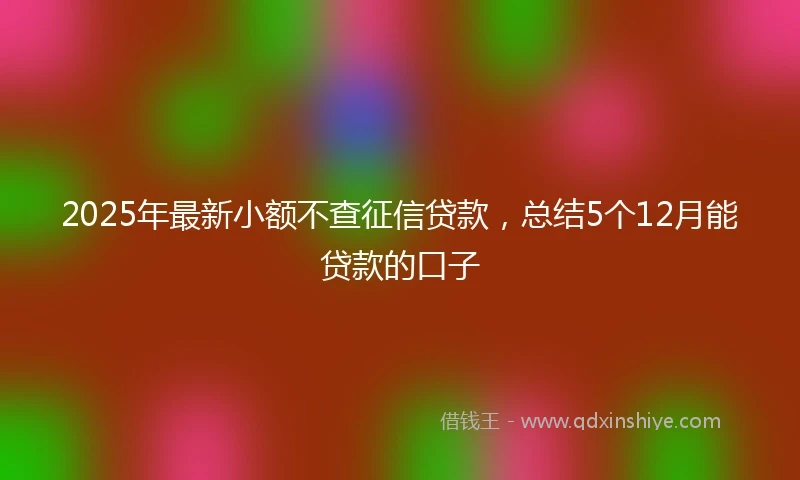 2025年最新小额不查征信贷款，总结5个12月能贷款的口子