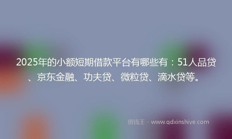 2025年的小额短期借款平台有哪些有：51人品贷、京东金融、功夫贷、微粒贷、滴水贷等。