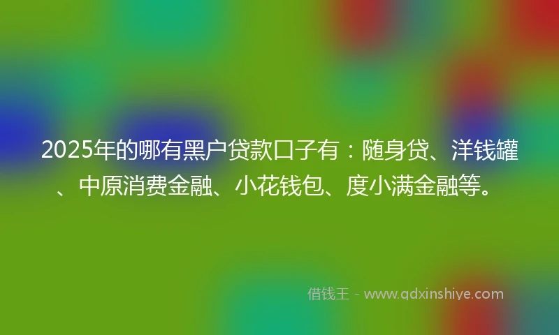 2025年的哪有黑户贷款口子有：随身贷、洋钱罐、中原消费金融、小花钱包、度小满金融等。