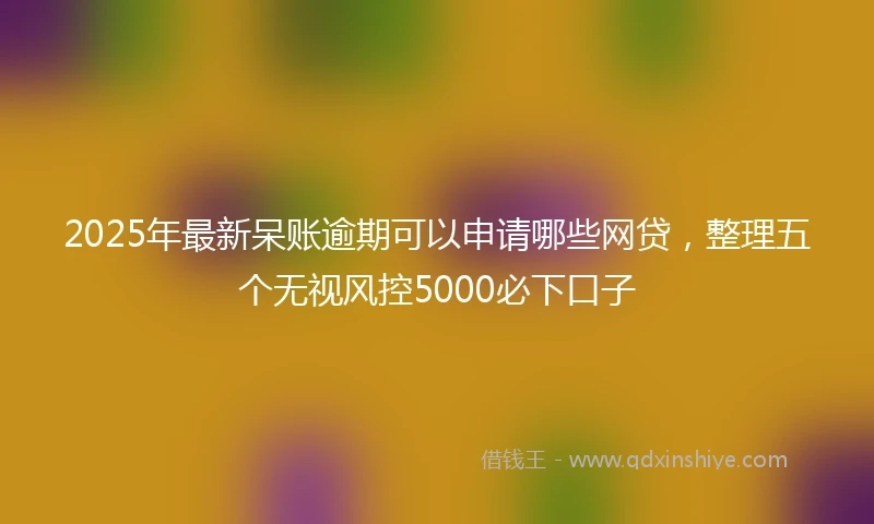 2025年最新呆账逾期可以申请哪些网贷，整理五个无视风控5000必下口子