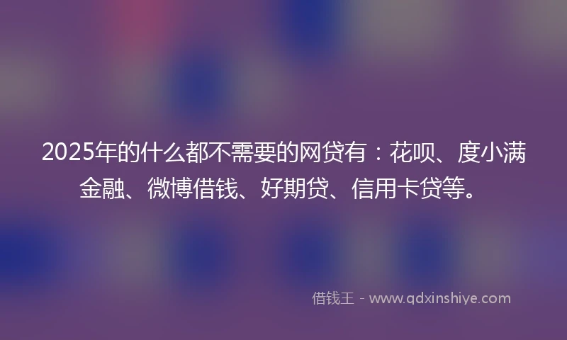 2025年的什么都不需要的网贷有：花呗、度小满金融、微博借钱、好期贷、信用卡贷等。