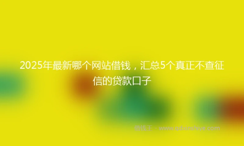 2025年最新哪个网站借钱，汇总5个真正不查征信的贷款口子
