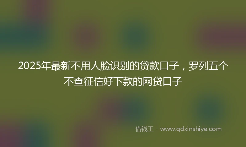 2025年最新不用人脸识别的贷款口子，罗列五个不查征信好下款的网贷口子
