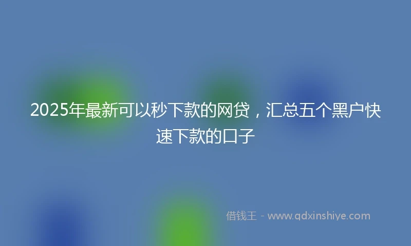 2025年最新可以秒下款的网贷，汇总五个黑户快速下款的口子