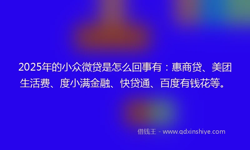 2025年的小众微贷是怎么回事有：惠商贷、美团生活费、度小满金融、快贷通、百度有钱花等。