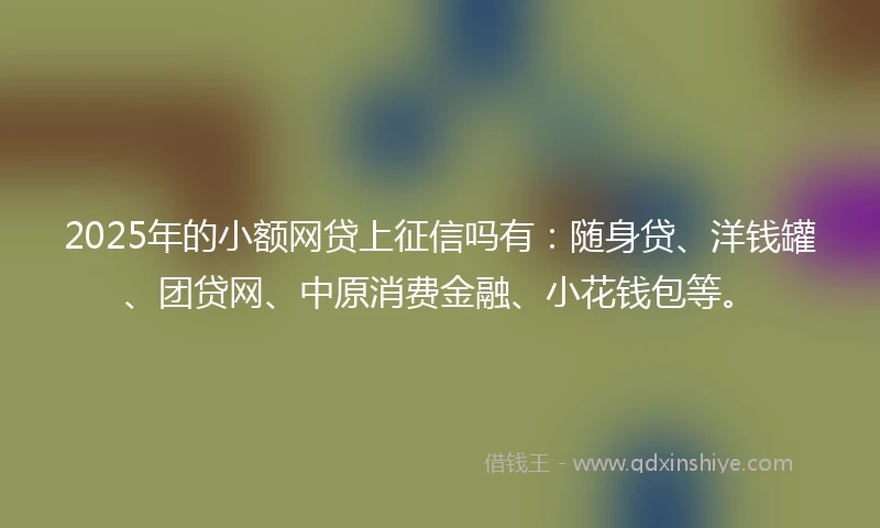2025年的小额网贷上征信吗有：随身贷、洋钱罐、团贷网、中原消费金融、小花钱包等。
