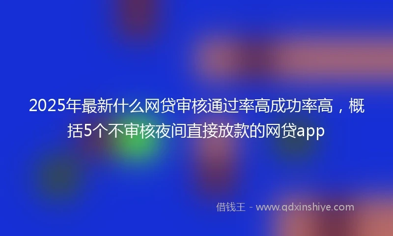 2025年最新什么网贷审核通过率高成功率高，概括5个不审核夜间直接放款的网贷app