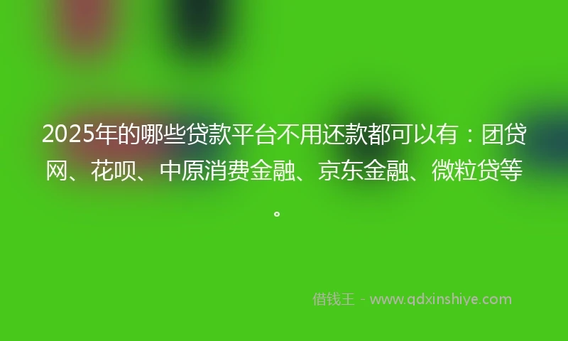 2025年的哪些贷款平台不用还款都可以有：团贷网、花呗、中原消费金融、京东金融、微粒贷等。