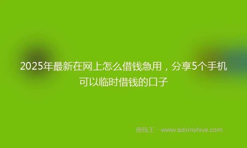 2025年最新在网上怎么借钱急用，分享5个手机可以临时借钱的口子