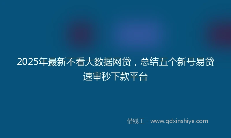 2025年最新不看大数据网贷，总结五个新号易贷速审秒下款平台