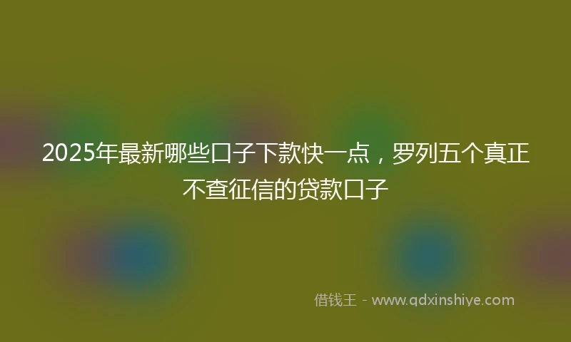 2025年最新哪些口子下款快一点，罗列五个真正不查征信的贷款口子