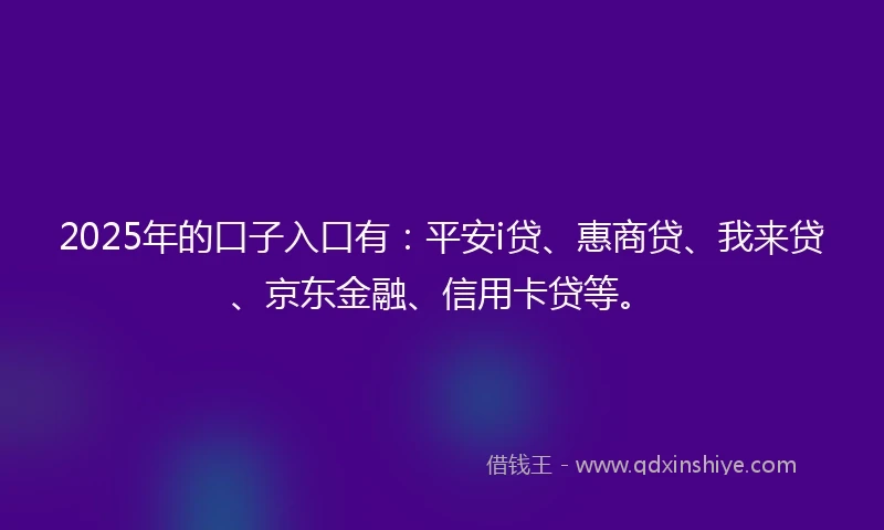 2025年的口子入口有：平安i贷、惠商贷、我来贷、京东金融、信用卡贷等。