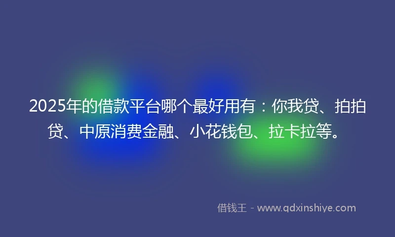 2025年的借款平台哪个最好用有：你我贷、拍拍贷、中原消费金融、小花钱包、拉卡拉等。