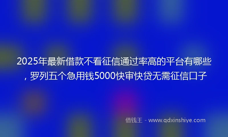 2025年最新借款不看征信通过率高的平台有哪些，罗列五个急用钱5000快审快贷无需征信口子