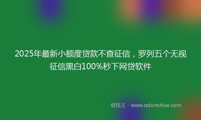 2025年最新小额度贷款不查征信，罗列五个无视征信黑白100%秒下网贷软件