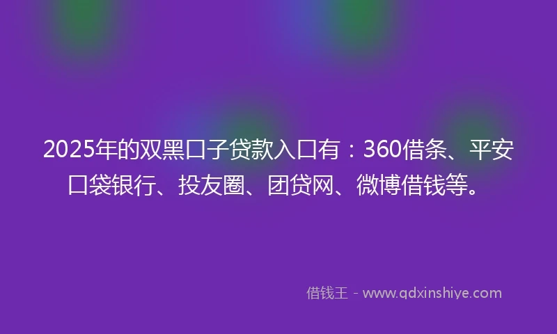2025年的双黑口子贷款入口有：360借条、平安口袋银行、投友圈、团贷网、微博借钱等。