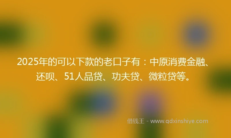 2025年的可以下款的老口子有：中原消费金融、还呗、51人品贷、功夫贷、微粒贷等。