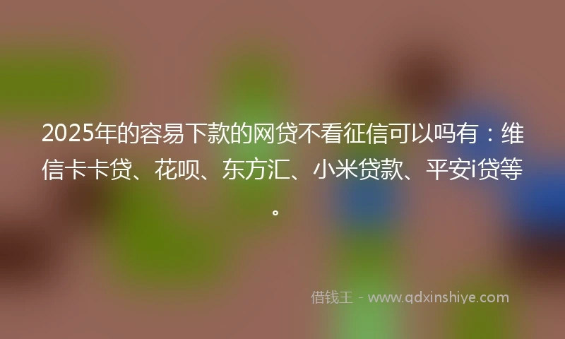 2025年的容易下款的网贷不看征信可以吗有：维信卡卡贷、花呗、东方汇、小米贷款、平安i贷等。