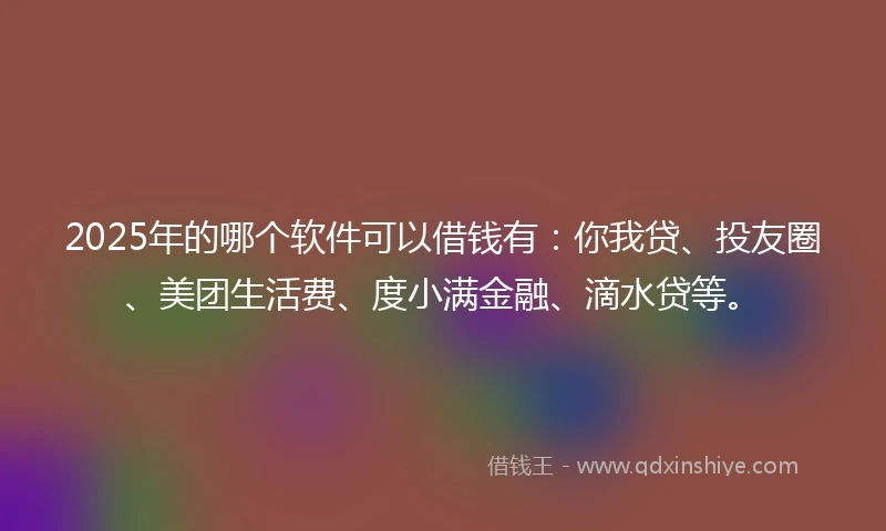 2025年的哪个软件可以借钱有：你我贷、投友圈、美团生活费、度小满金融、滴水贷等。