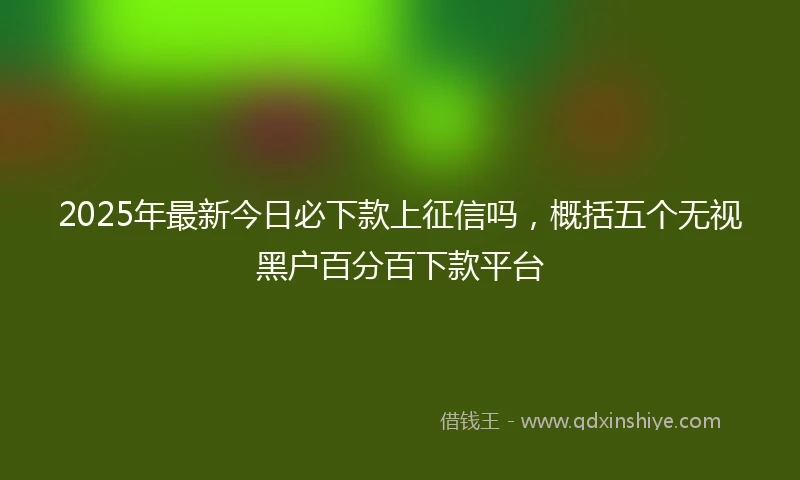 2025年最新今日必下款上征信吗，概括五个无视黑户百分百下款平台