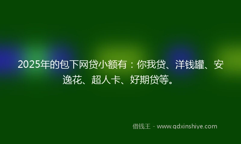 2025年的包下网贷小额有：你我贷、洋钱罐、安逸花、超人卡、好期贷等。
