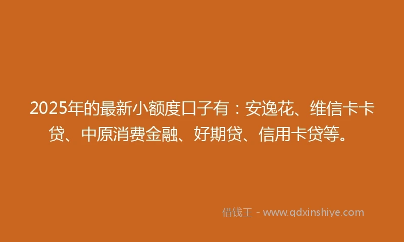2025年的最新小额度口子有：安逸花、维信卡卡贷、中原消费金融、好期贷、信用卡贷等。