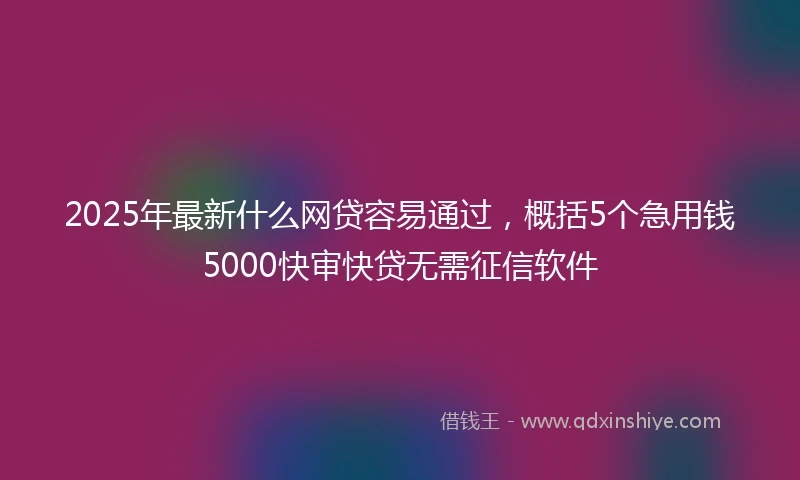 2025年最新什么网贷容易通过，概括5个急用钱5000快审快贷无需征信软件