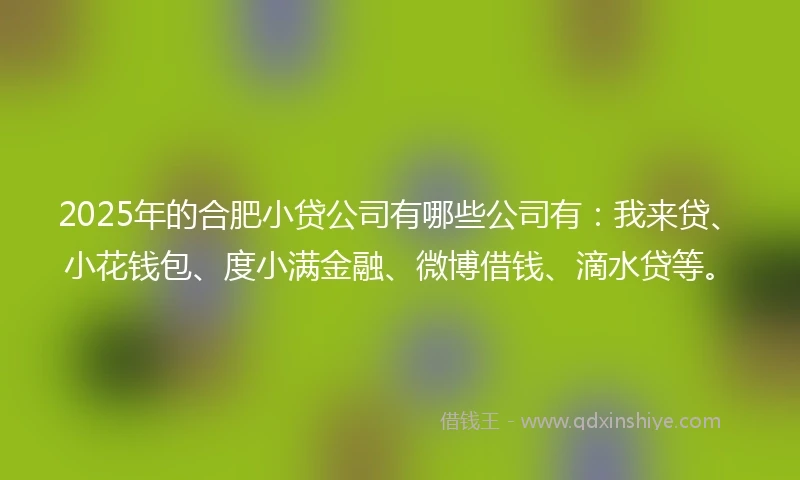 2025年的合肥小贷公司有哪些公司有：我来贷、小花钱包、度小满金融、微博借钱、滴水贷等。