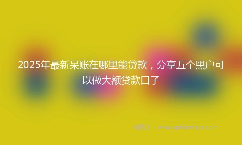 2025年最新呆账在哪里能贷款，分享五个黑户可以做大额贷款口子