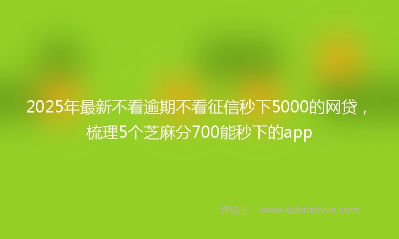 2025年最新不看逾期不看征信秒下5000的网贷，梳理5个芝麻分700能秒下的app