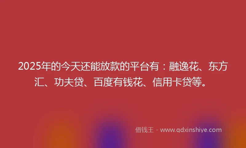 2025年的今天还能放款的平台有：融逸花、东方汇、功夫贷、百度有钱花、信用卡贷等。