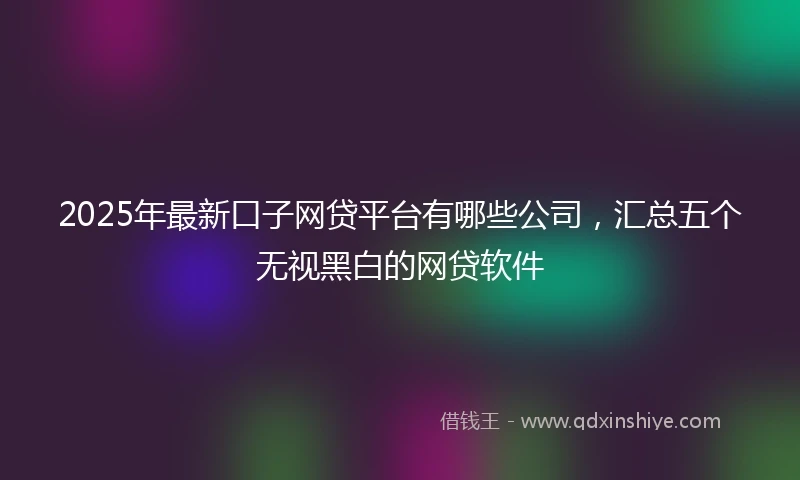 2025年最新口子网贷平台有哪些公司，汇总五个无视黑白的网贷软件