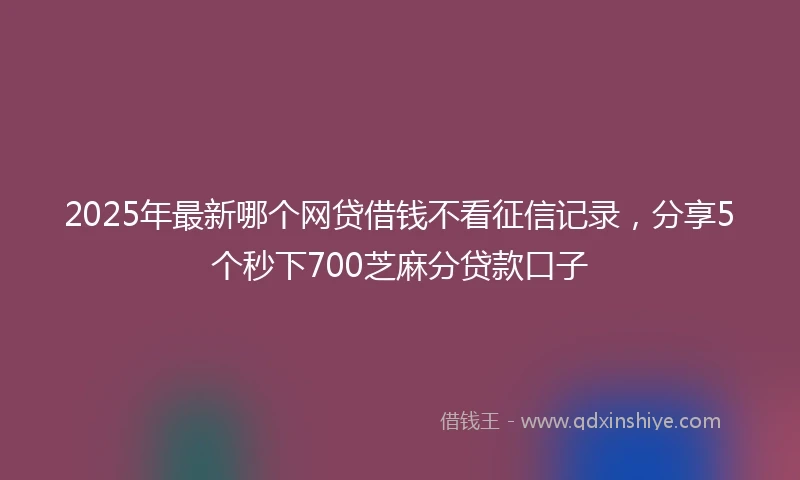 2025年最新哪个网贷借钱不看征信记录，分享5个秒下700芝麻分贷款口子