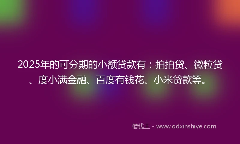 2025年的可分期的小额贷款有：拍拍贷、微粒贷、度小满金融、百度有钱花、小米贷款等。