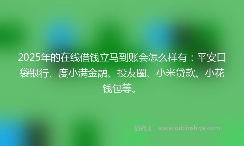 2025年的在线借钱立马到账会怎么样有：平安口袋银行、度小满金融、投友圈、小米贷款、小花钱包等。