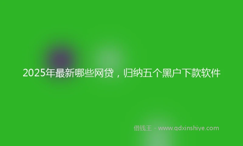 2025年最新哪些网贷，归纳五个黑户下款软件