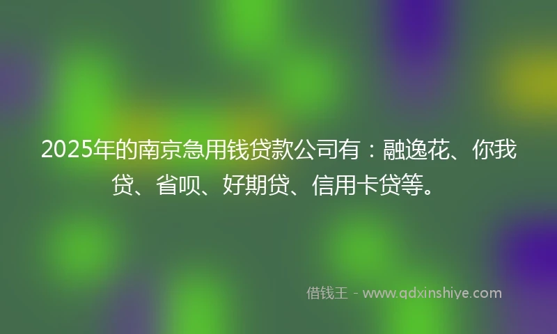 2025年的南京急用钱贷款公司有：融逸花、你我贷、省呗、好期贷、信用卡贷等。
