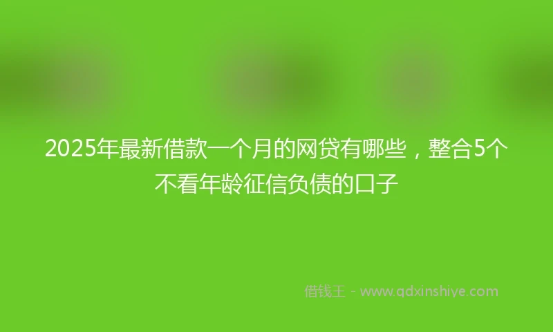 2025年最新借款一个月的网贷有哪些，整合5个不看年龄征信负债的口子