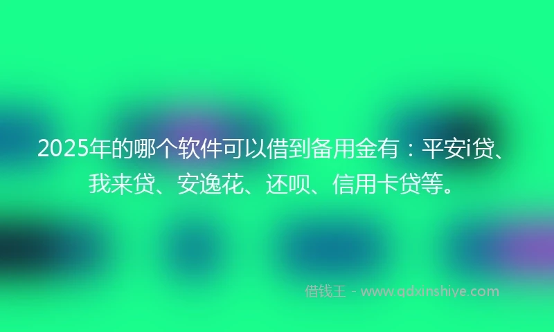 2025年的哪个软件可以借到备用金有：平安i贷、我来贷、安逸花、还呗、信用卡贷等。