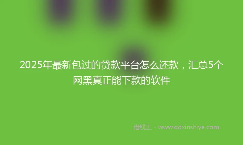 2025年最新包过的贷款平台怎么还款，汇总5个网黑真正能下款的软件