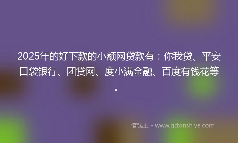 2025年的好下款的小额网贷款有：你我贷、平安口袋银行、团贷网、度小满金融、百度有钱花等。