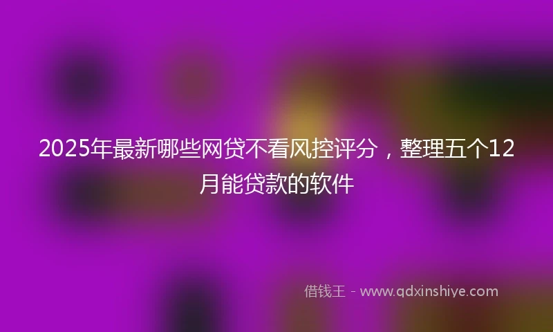 2025年最新哪些网贷不看风控评分，整理五个12月能贷款的软件