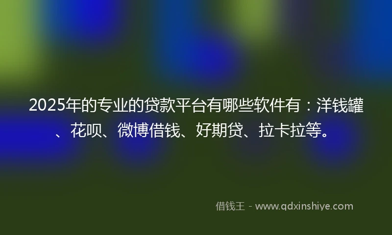2025年的专业的贷款平台有哪些软件有：洋钱罐、花呗、微博借钱、好期贷、拉卡拉等。