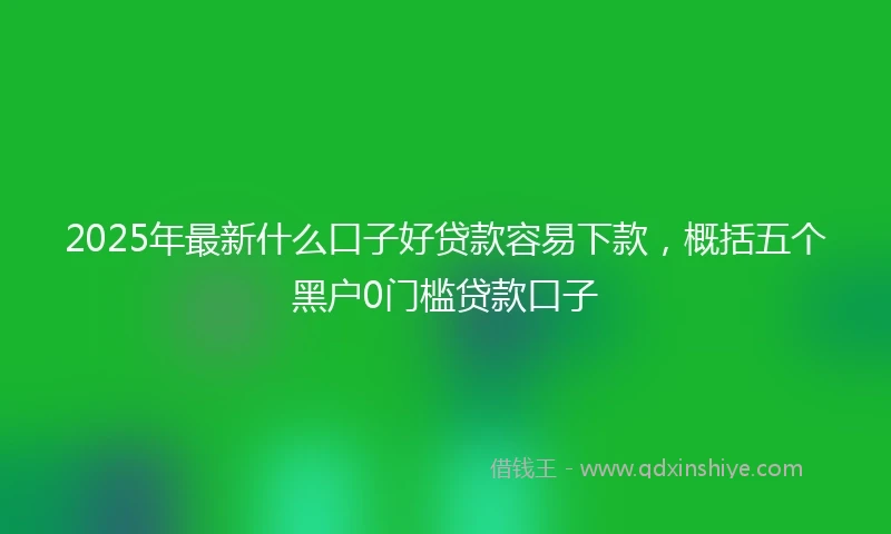 2025年最新什么口子好贷款容易下款，概括五个黑户0门槛贷款口子