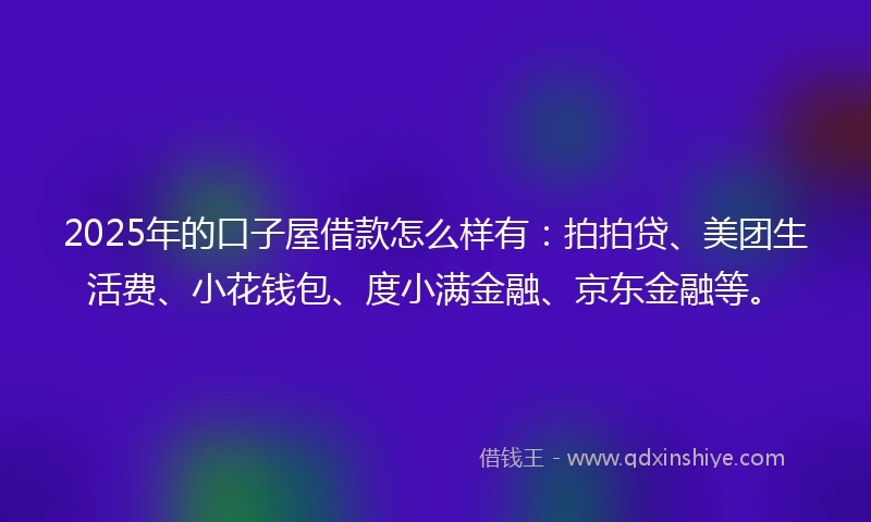 2025年的口子屋借款怎么样有：拍拍贷、美团生活费、小花钱包、度小满金融、京东金融等。