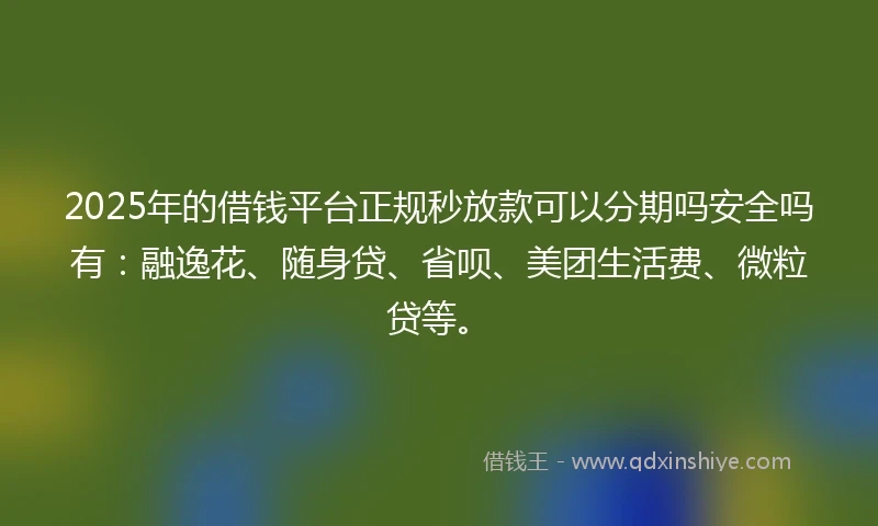 2025年的借钱平台正规秒放款可以分期吗安全吗有：融逸花、随身贷、省呗、美团生活费、微粒贷等。