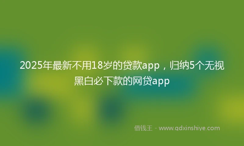 2025年最新不用18岁的贷款app，归纳5个无视黑白必下款的网贷app