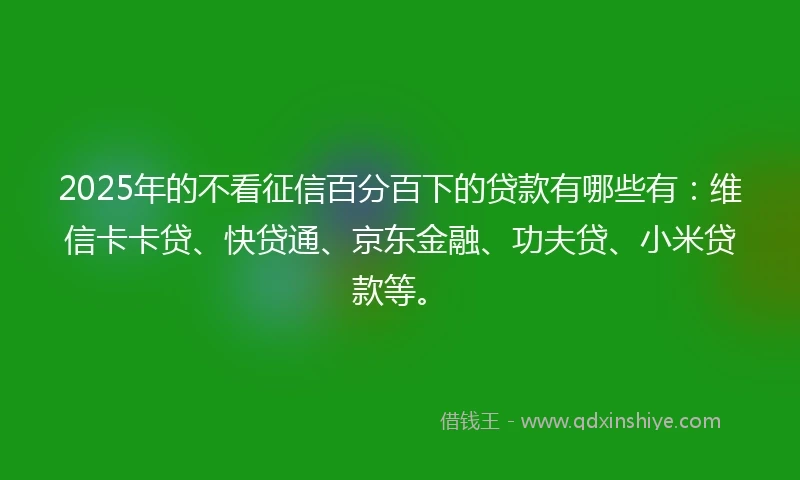 2025年的不看征信百分百下的贷款有哪些有：维信卡卡贷、快贷通、京东金融、功夫贷、小米贷款等。