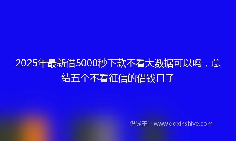 2025年最新借5000秒下款不看大数据可以吗，总结五个不看征信的借钱口子